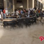 Encierro de fiestas de Sant Pasqual de Vila-real