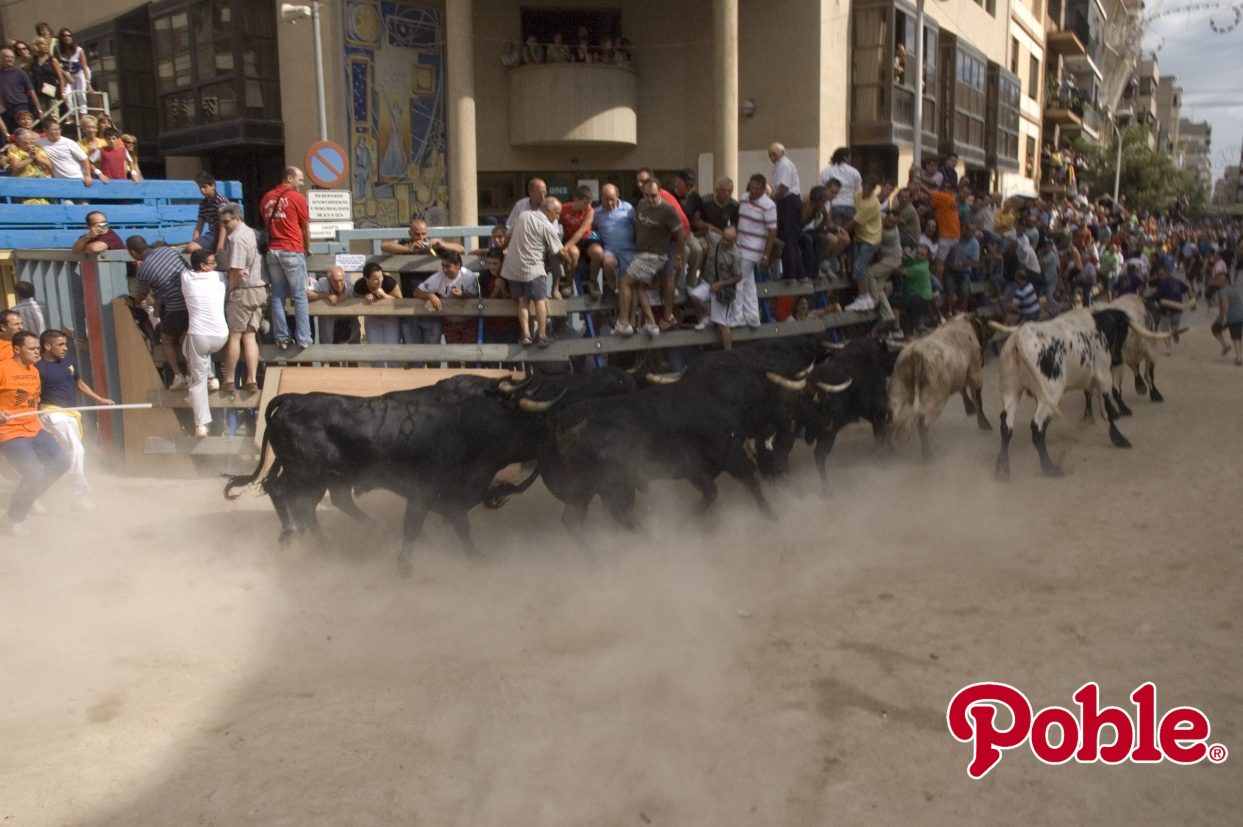 Encierro de fiestas de Sant Pasqual de Vila-real