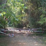 Cierra la ruta botánica Vila-real