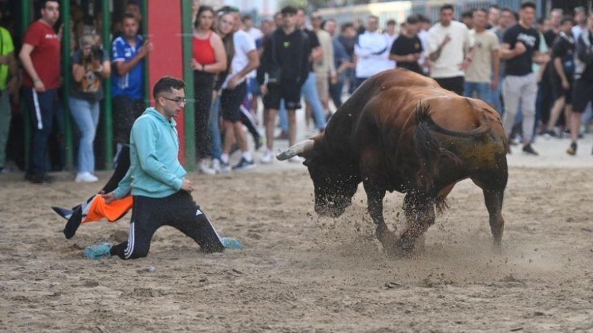 Programación actos taurinos Vila-real