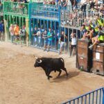 Programación actos taurinos fiestas Nules 2026