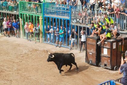 Programación actos taurinos fiestas Nules 2026
