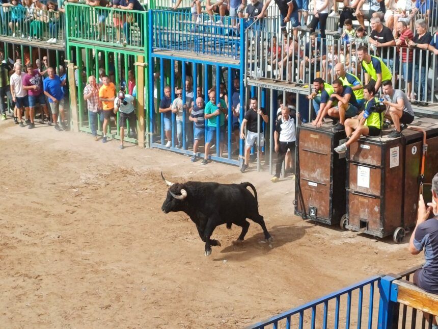 Programación actos taurinos fiestas Nules 2026