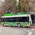 Un árbol cae sobre el TRAM en Castellón