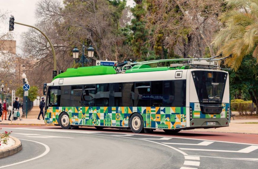 Un árbol cae sobre el TRAM en Castellón