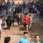 Fiestas de Vila-real sin encierro de toros cerriles