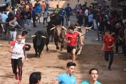 Fiestas de Vila-real sin encierro de toros cerriles