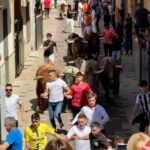 Programación Toros puente de octubre 2026| Toros Almassora