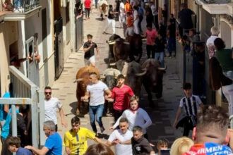 Programación Toros puente de octubre 2026| Toros Almassora