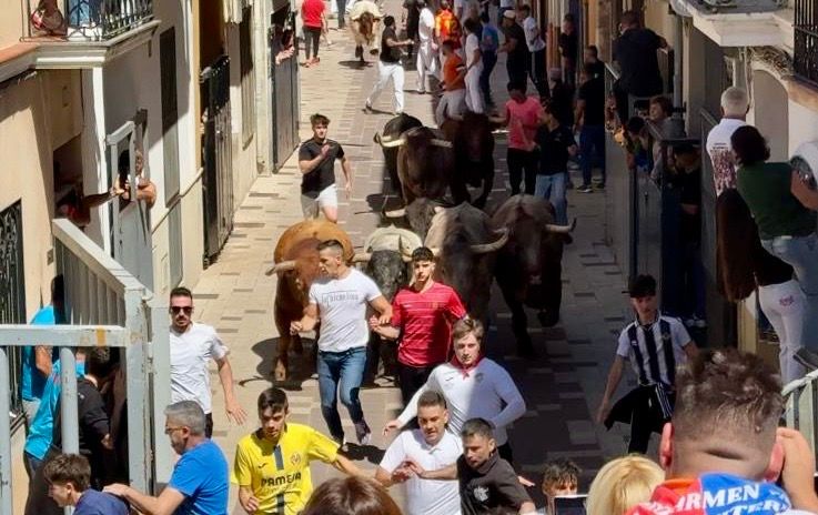 Programación Toros puente de octubre 2026| Toros Almassora