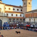 Toros Nules noviembre