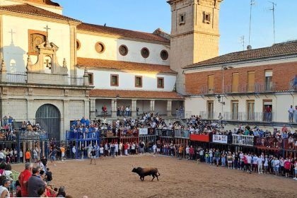 Toros Nules noviembre