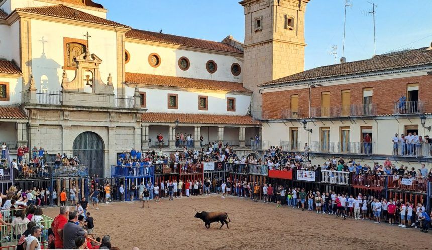 Toros Nules noviembre