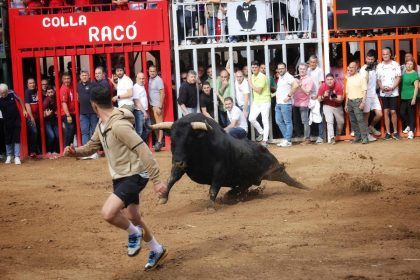 Programación taurina de las fiestas de Santa Quitèria 2025 de Almassora