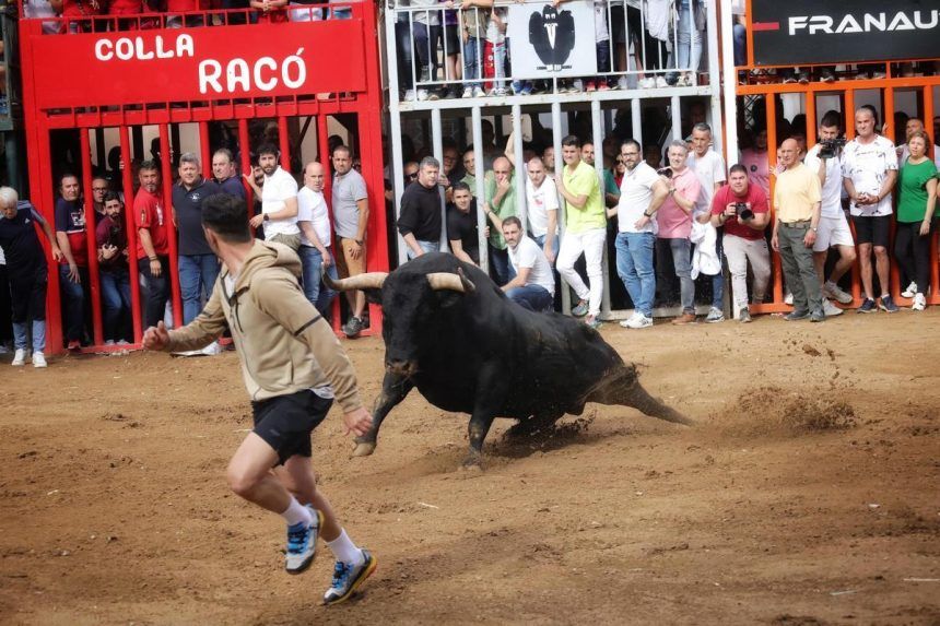 Programación taurina de las fiestas de Santa Quitèria 2025 de Almassora
