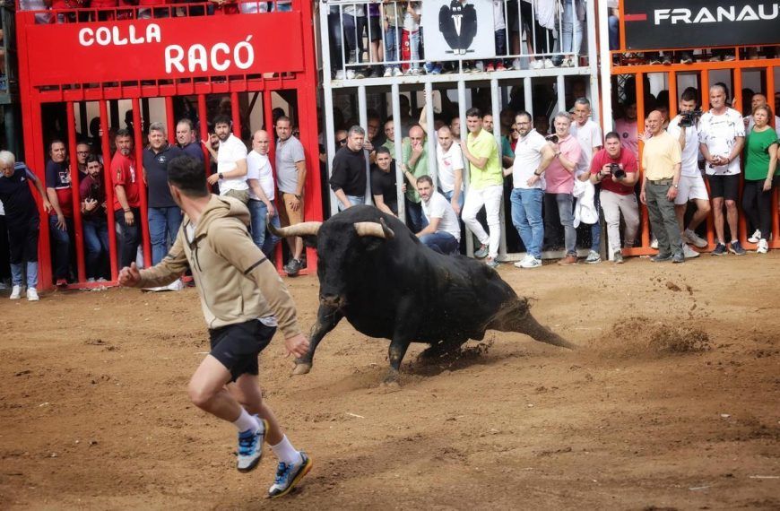 Programa actos taurinos Almassora fiestas de la Mare Déu del Roser 2025