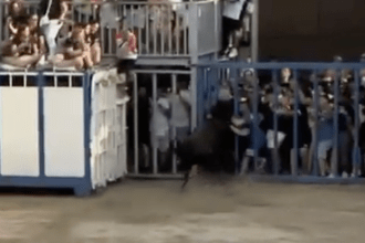 Un toro hiere a un vecino de Vila-real durante las fiestas de la Misericordia de Burriana