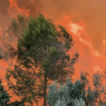 Incendio en Soneja