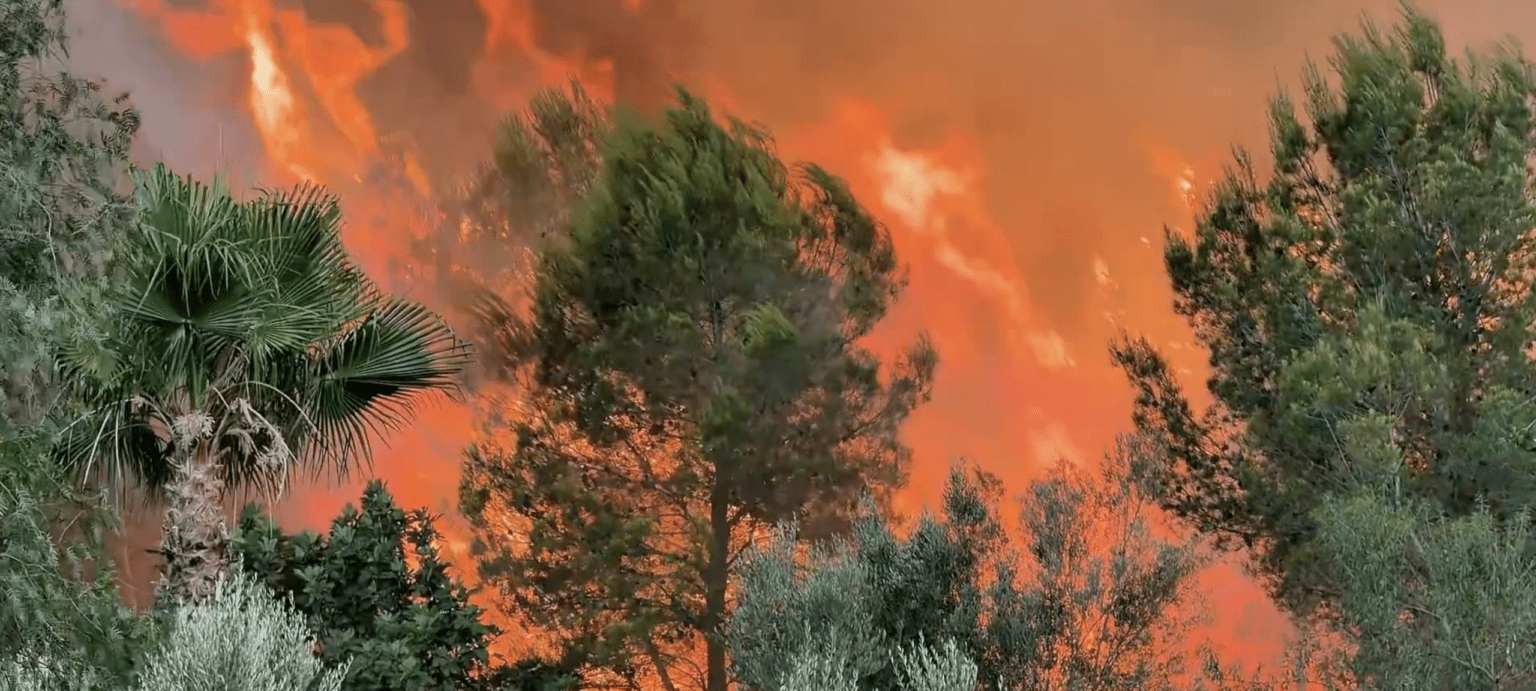 Incendio en Soneja