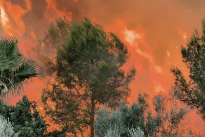 Incendio en Soneja