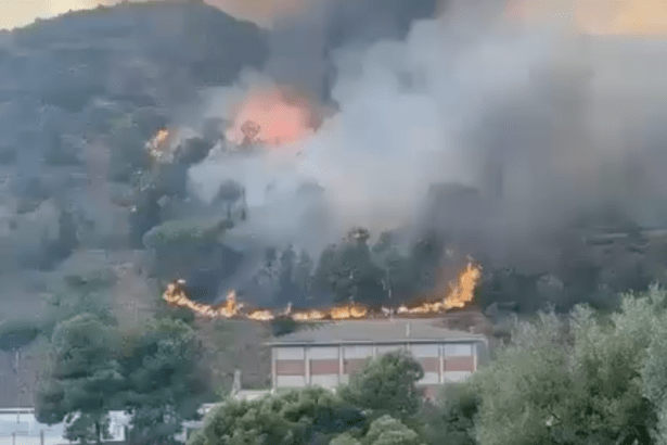 El incendio de la Vall d'Uixó llega a la escuela de la Vilavella