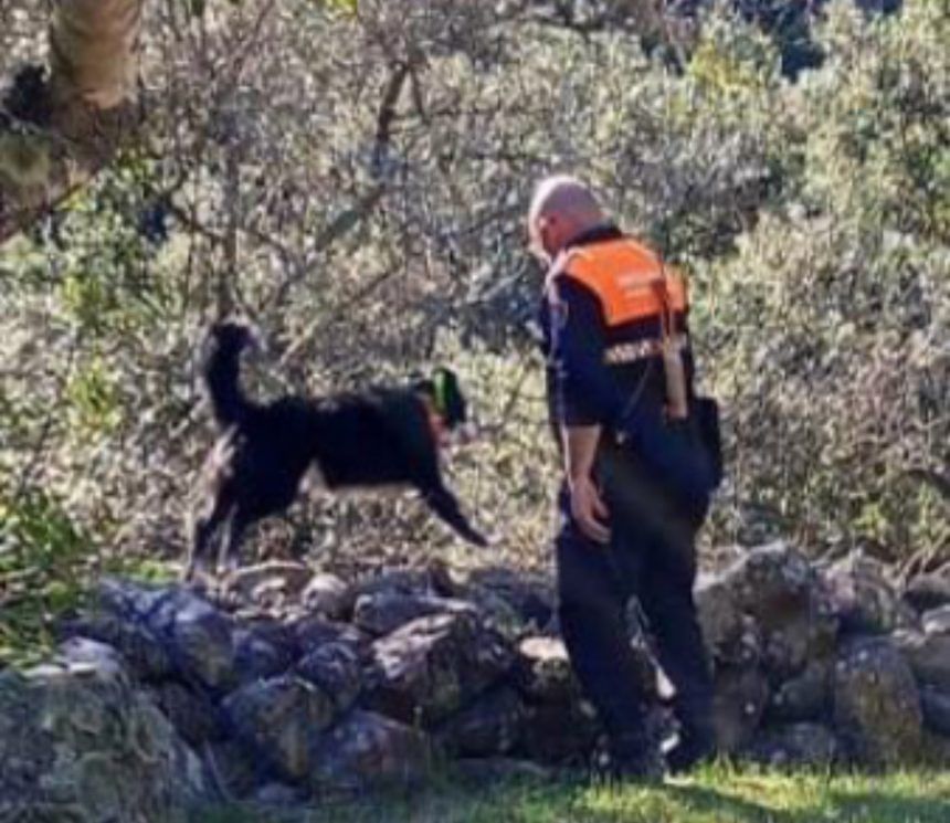 Tres días sin rastro del varón desaparecido en La Vall d’Uixó