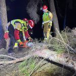 Bomberos quitan arboles caídos por la borrasca Herminia Castellón