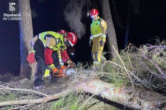 Bomberos quitan arboles caídos por la borrasca Herminia Castellón