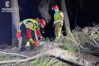 Bomberos quitan arboles caídos por la borrasca Herminia Castellón