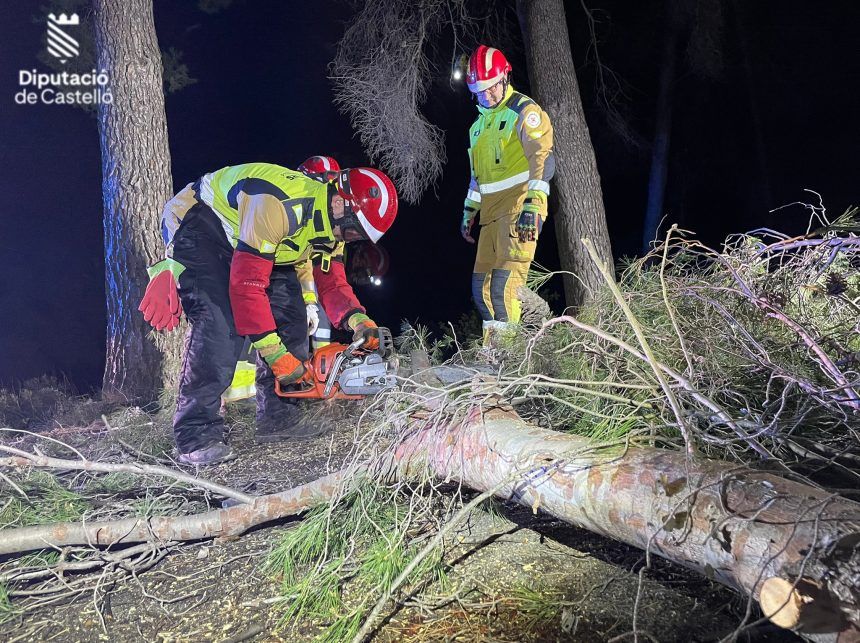 Bomberos quitan arboles caídos por la borrasca Herminia Castellón