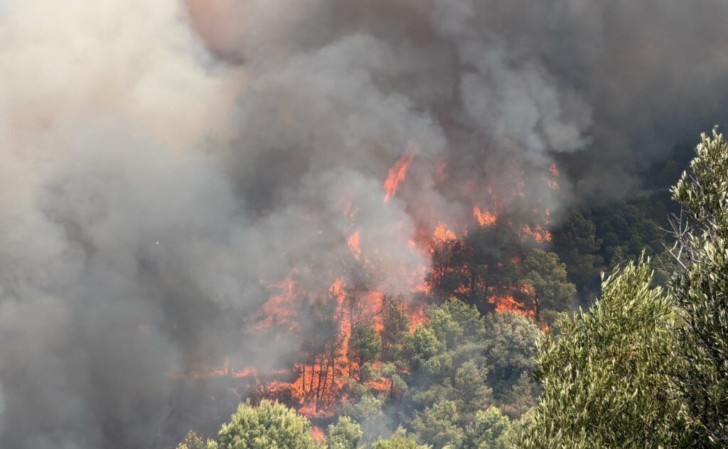 Incendio Vall d'Uixó