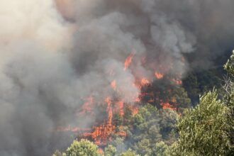 Incendio Vall d'Uixó