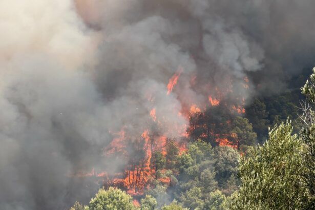 Incendio Vall d'Uixó
