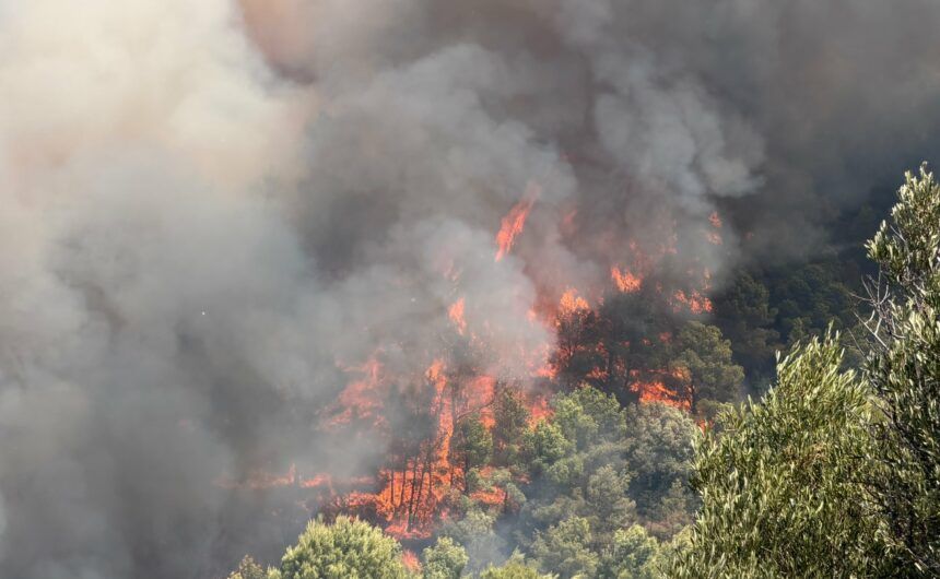 Incendio Vall d'Uixó