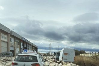 Ovejas paralizan el tráfico