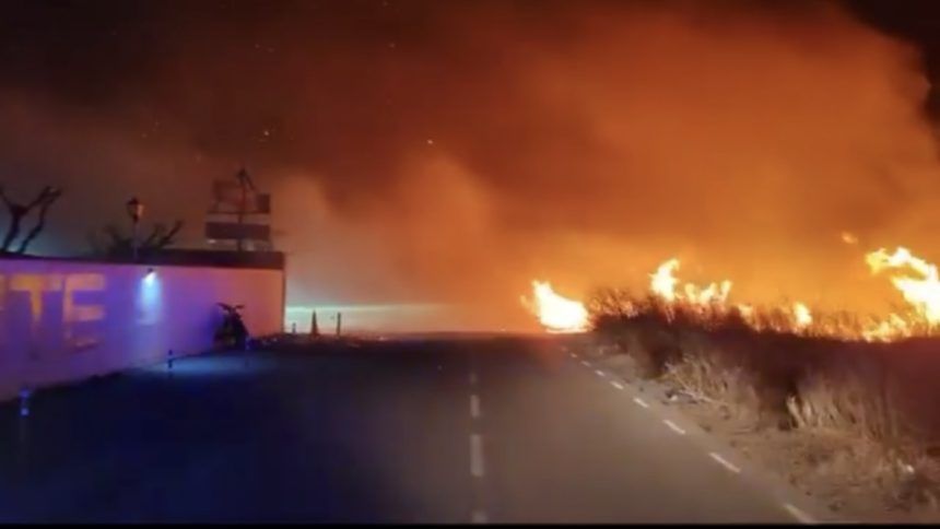 Incendio en el camino Serratelles entre Nules y Moncofa