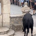 Susto en los toros de Cinctorres