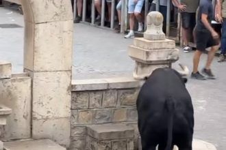 Susto en los toros de Cinctorres