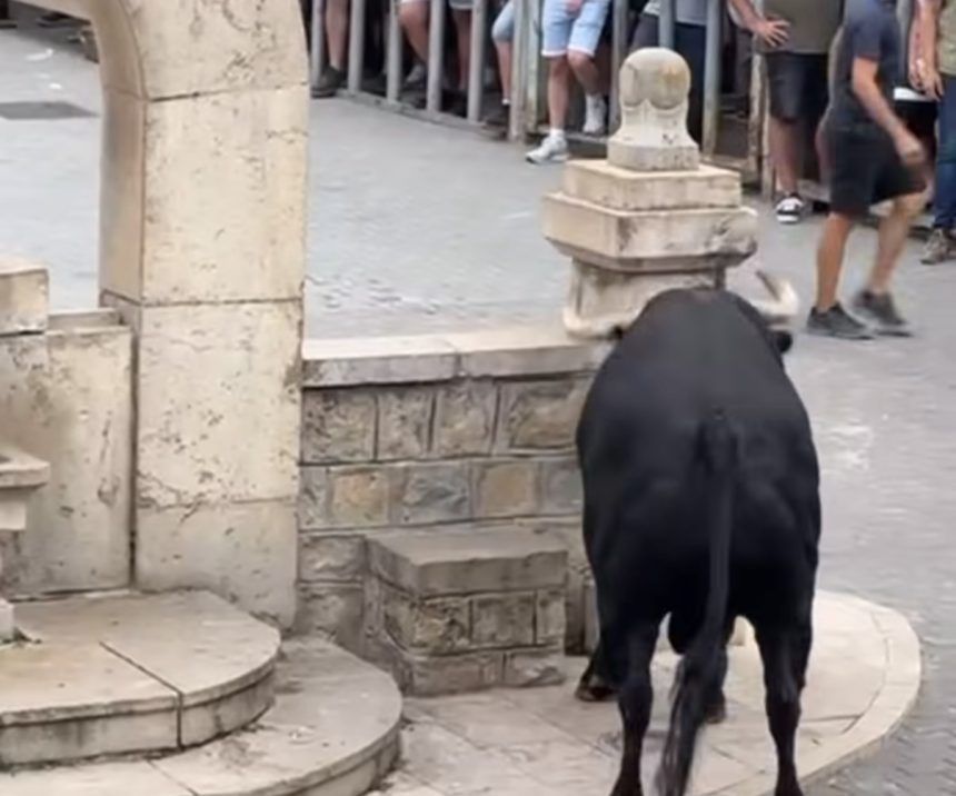 Susto en los toros de Cinctorres