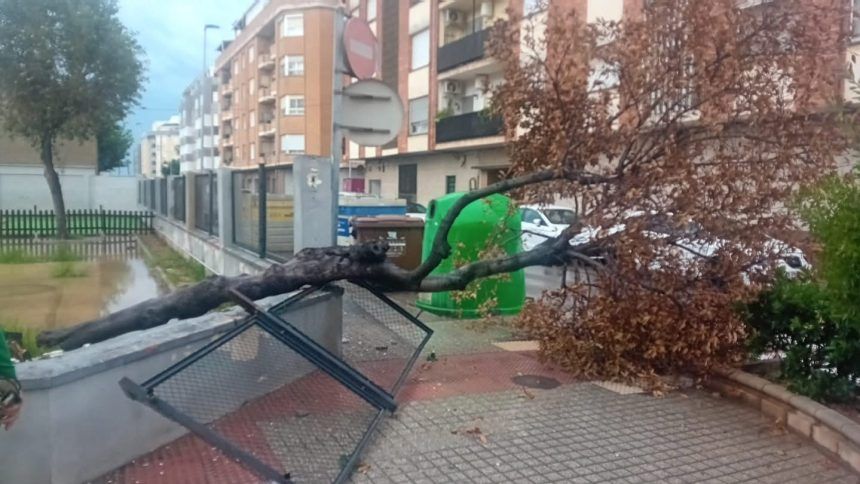 La tormenta en Burriana provoca caídas de árboles
