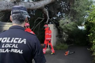 Un árbol cae en Vila-real por las lluvias