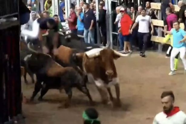 Cogida encierro Fira d'Onda 2025