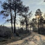 Limpieza de caminos por el incendio por parte de diputación
