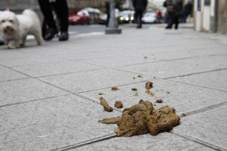 Multas por la caca de perro en Onda