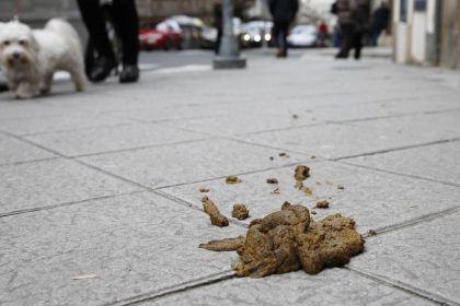 Multas por la caca de perro en Onda