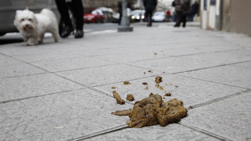 Multas por la caca de perro en Onda