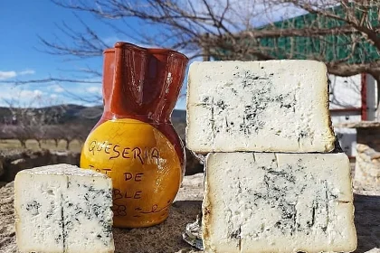 Queso azul la Valltorta de Tot de Poble