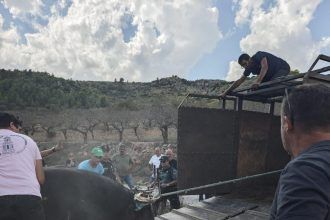 Toro de Jérica capturado