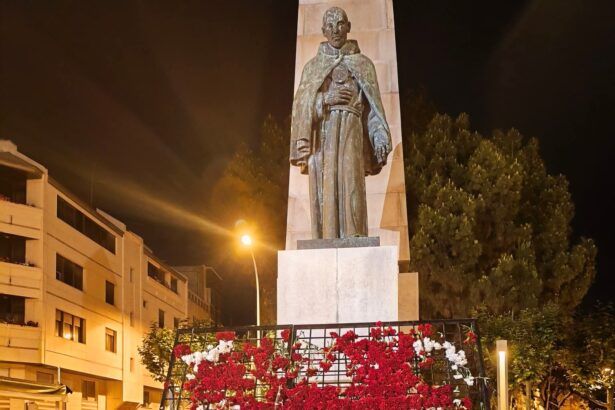 Destrozan el tapiz floral de Sant Pasqual