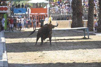 Actos taurinos de Sant Pere Grau de Castellón